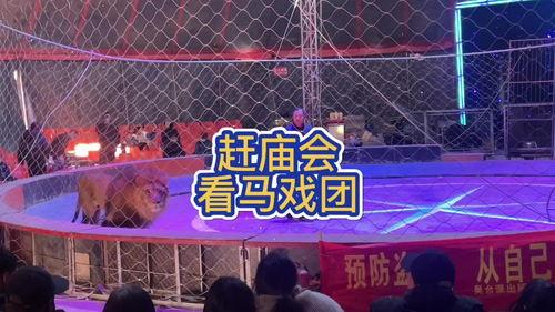 豫东团队爆料视频,惊人内幕曝光！  第3张