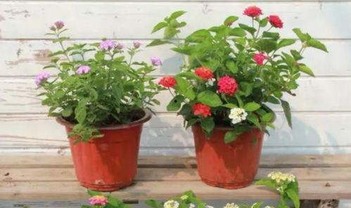 济南摩友爆料事件视频最新,真相与争议交织的骑行安全风波  第2张